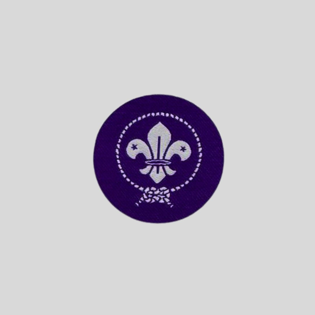 Sticky Scouts Badge - Circle image