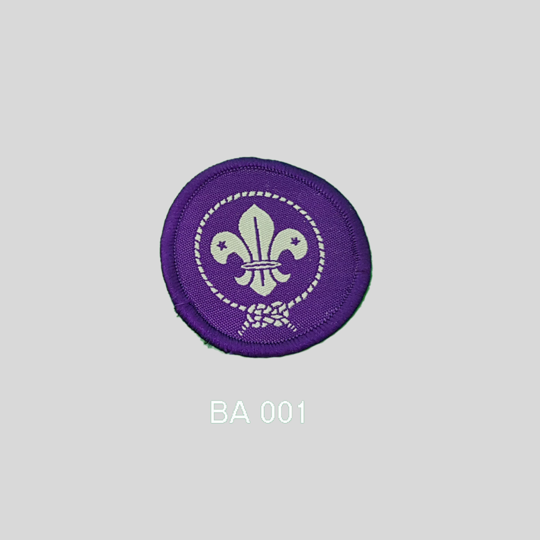 World Scout's Badge image 0